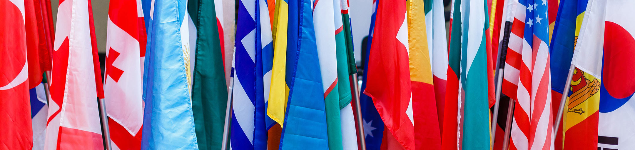 Photo of several colorful international flags in a row