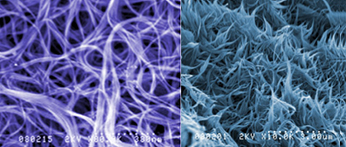 carbon nanotube micro images