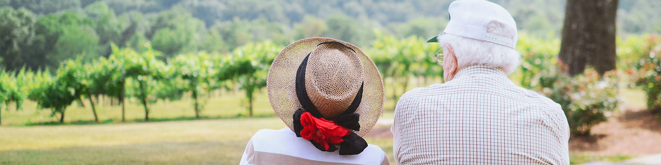 senior man and woman in hat sitting on a bench overlooking a green vineyard
