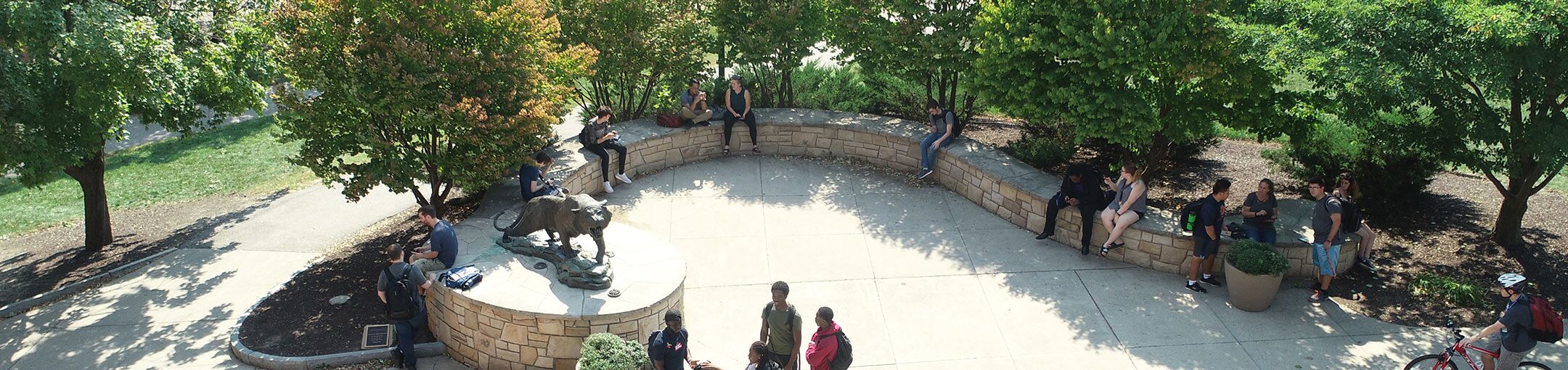 Arial photo of students sitting in the quad by the tiger statue