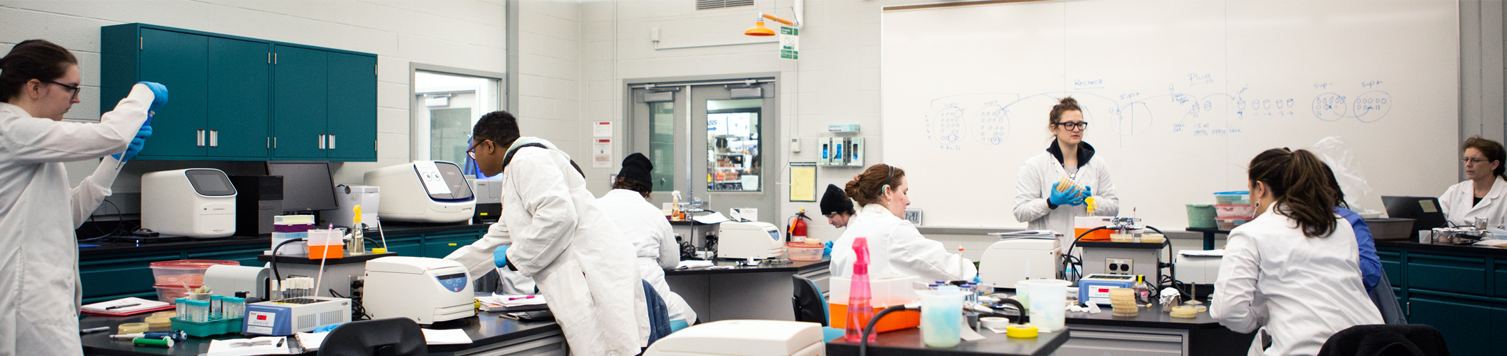 students working in genomics lab during class