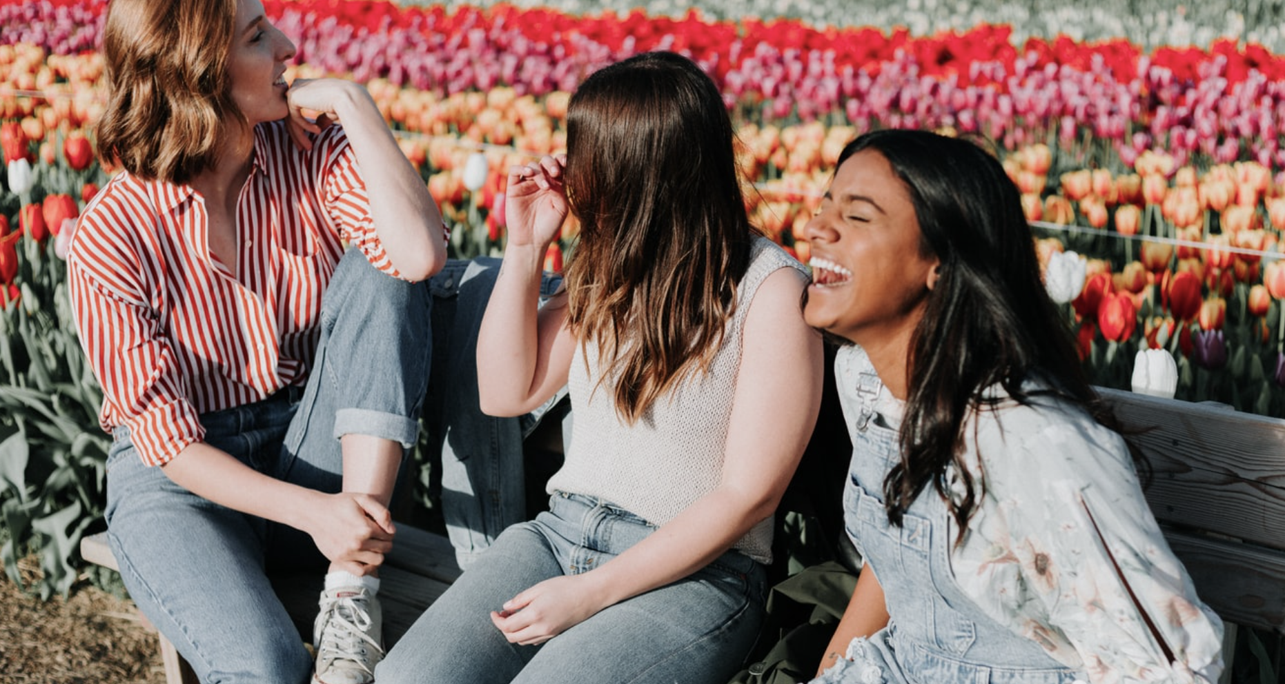 Three friends laughing together on a bench in a field of flowers