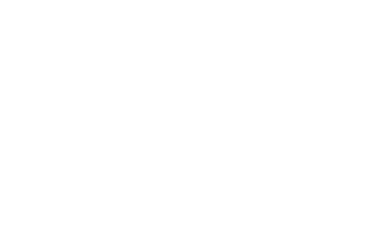 Logo for College Hockey America Championship