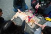 students petting a yellow lab dog.