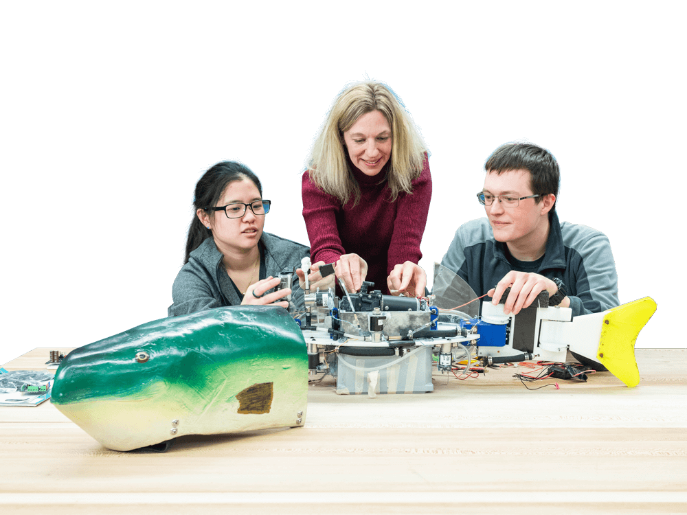 A group of people working on the robofish