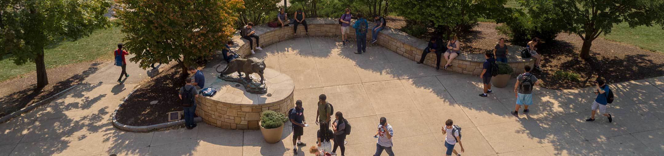 Aerial view of the Tiger Statue and students