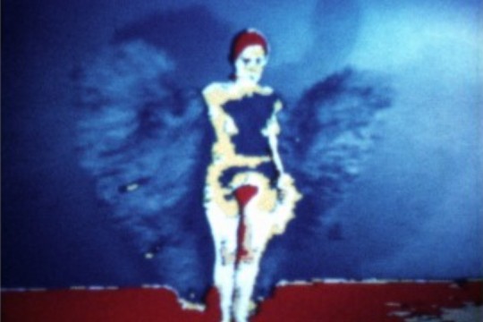 A screenshot of an Ana Mendieta film.