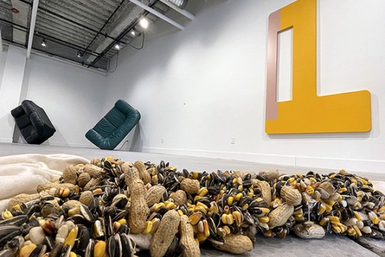 An installation view of an exhibition at RIT City Art Space.