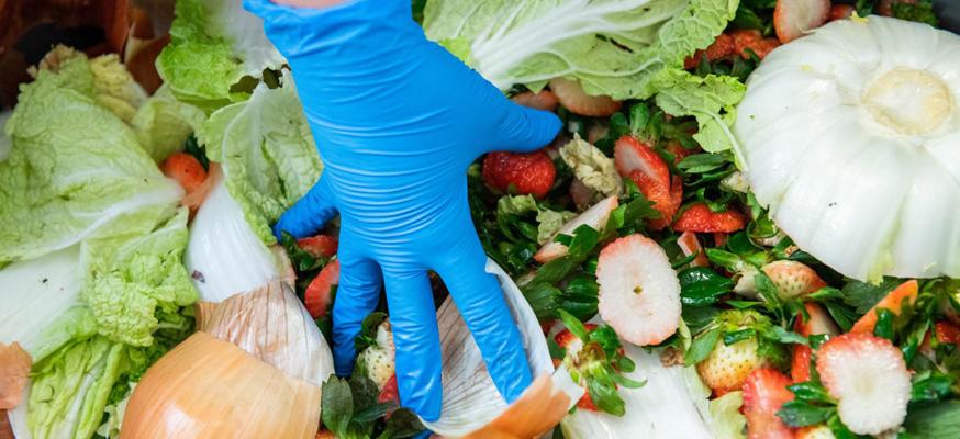 RIT researchers part of $15 million NSF grant aimed at reducing food waste