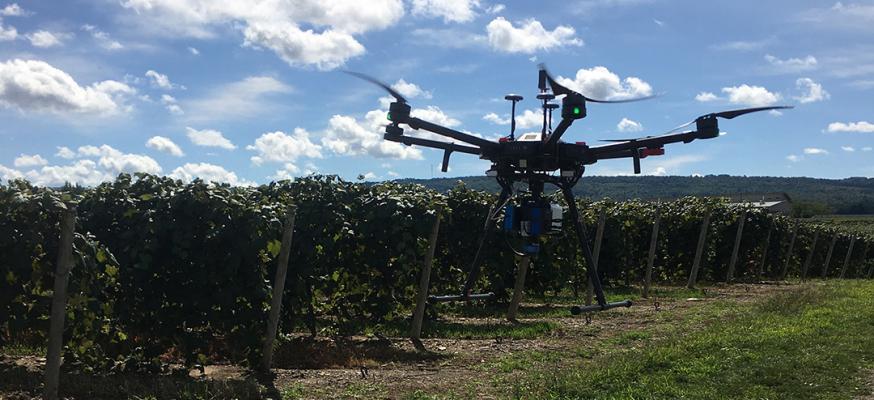 RIT professor developing drone imaging systems to help farmers monitor grapevine nutrients