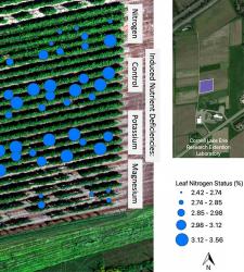 RIT professor developing drone imaging systems to help farmers monitor grapevine nutrients