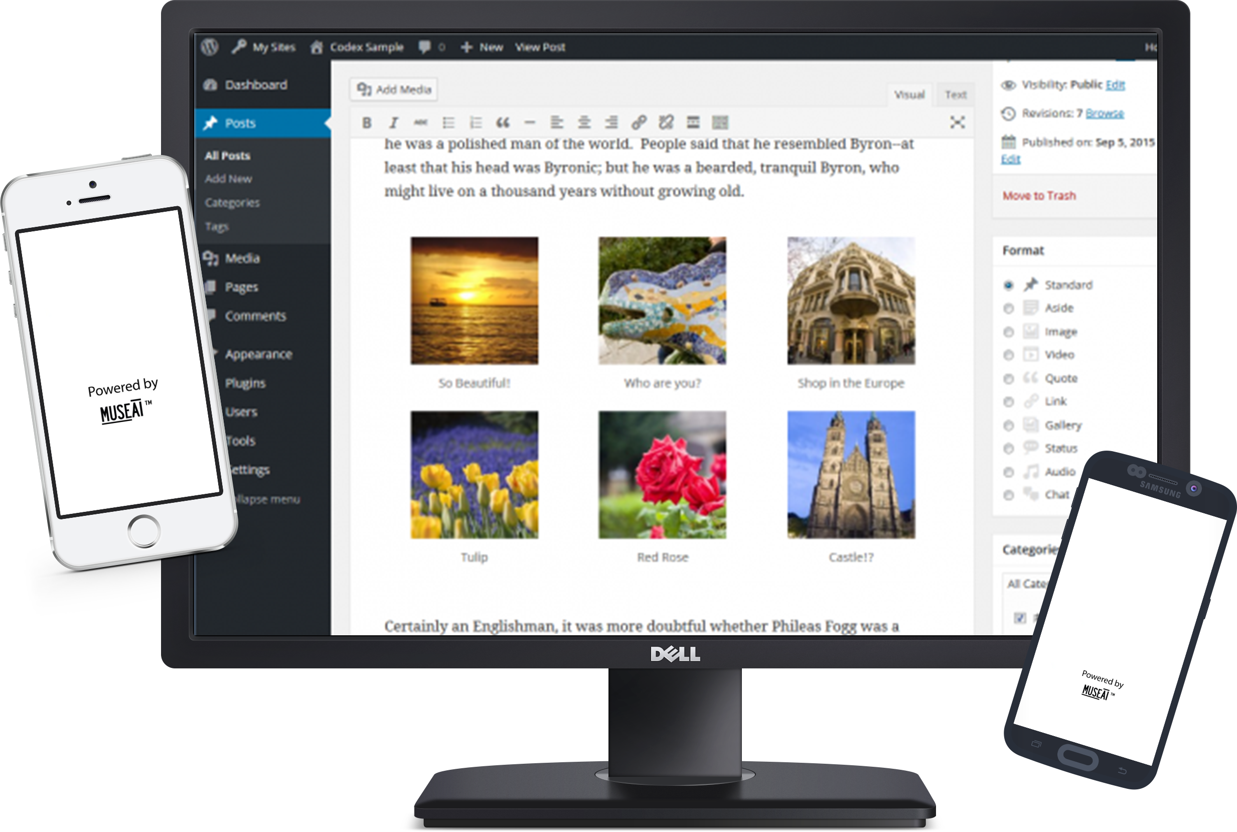 MuseAI Online web portal
