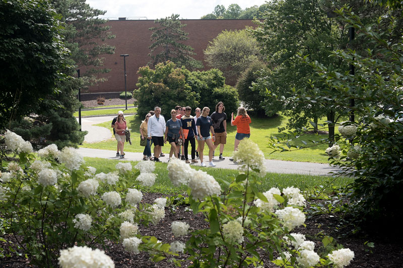 a group of people walks along a path surrounded by greenery and flowers