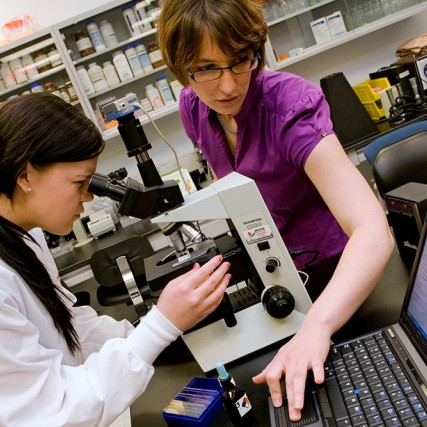 researcher looks into microscope while professor adjusts display on laptop.