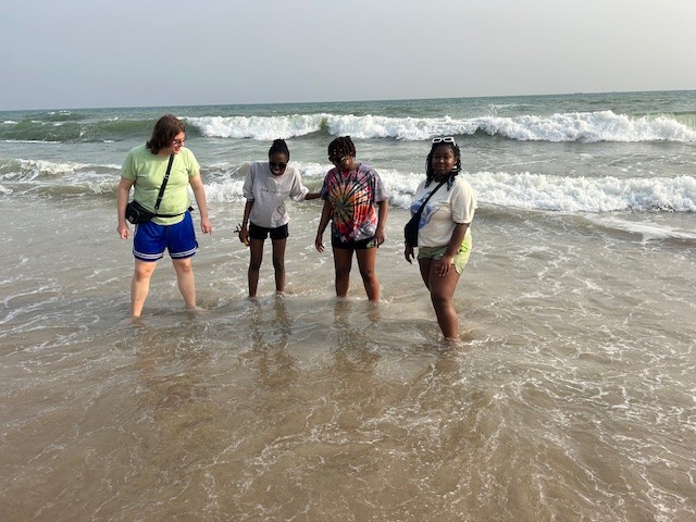people in the water at the beach