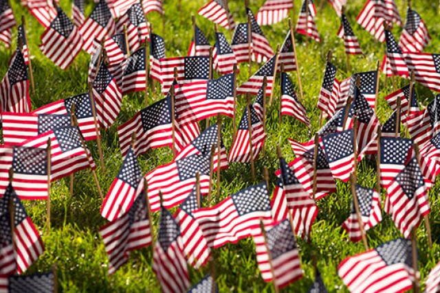 Picture of flags on field
