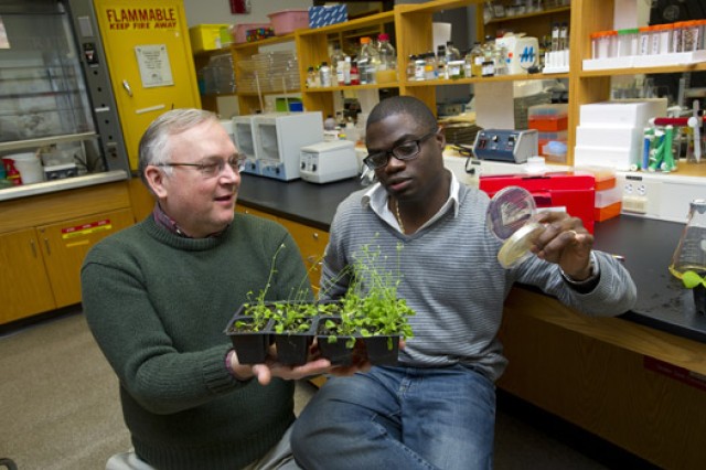 People looking at plants
