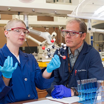 Student explaining diagram to professor