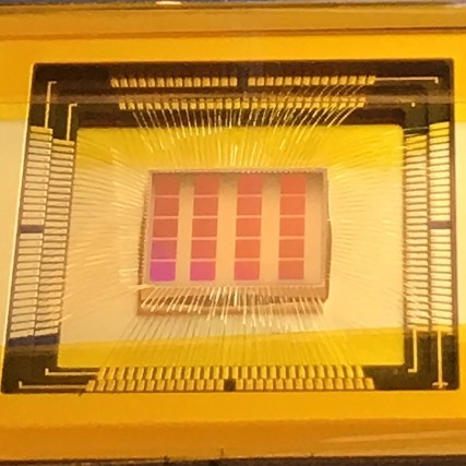 Quanta Image Sensor (QIS) semiconductor chip.