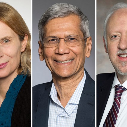 Manuela Campanelli, Satish Kandlikar, and James Perkins