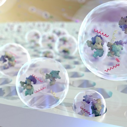 illustration of round cells fitting into holes on a surface.