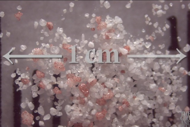 enlarged view of microplastic pellets.