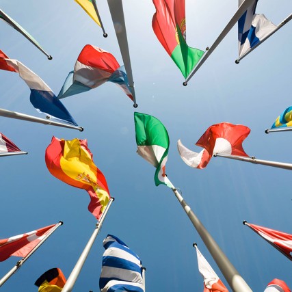 looking from the group up at several flags on flag poles.