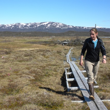 researcher walking through grasslands in Sweden.