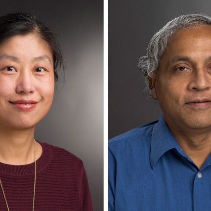 faculty members Rajendra Raj and Xumin Liu.
