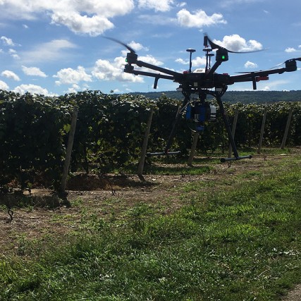 of a drone flying over a vineyard.