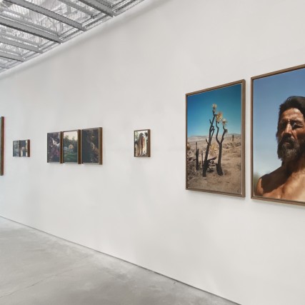A grouping of photographs on a gallery wall by Greg Halpern. 