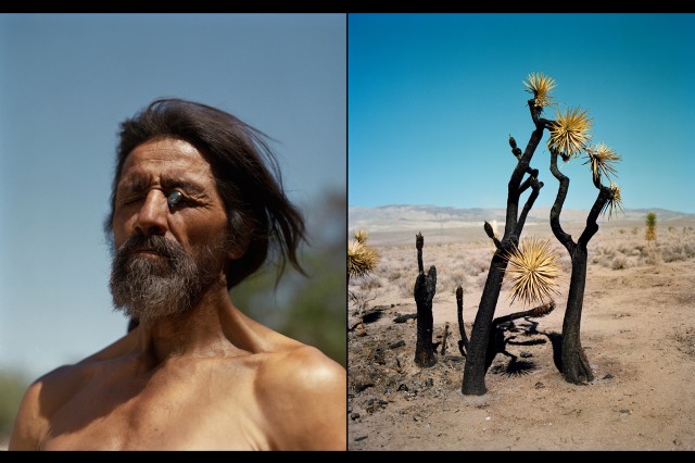 Side by side photos of images by Greg Halpern — one of a shirtless person with an object in their eye, the other of plants in a desert.