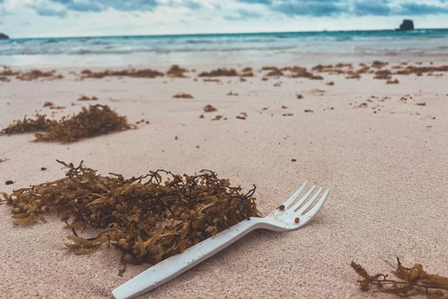 A single use fork washed ashore on a beach in Bermuda.