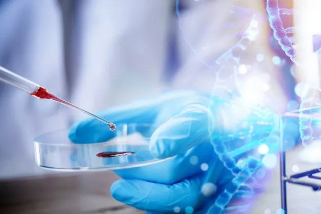 Scientist in blue gloves handling a petri dish while using a pipette to drop blood, overlaid with a digital DNA helix.
