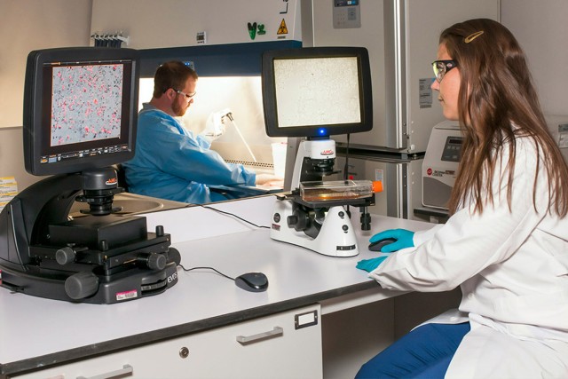 Two scientists work in a laboratory; a woman in a lab coat and gloves analyzes microscope images on a computer screen, while a man in protective gear pipettes samples inside a biosafety cabinet.