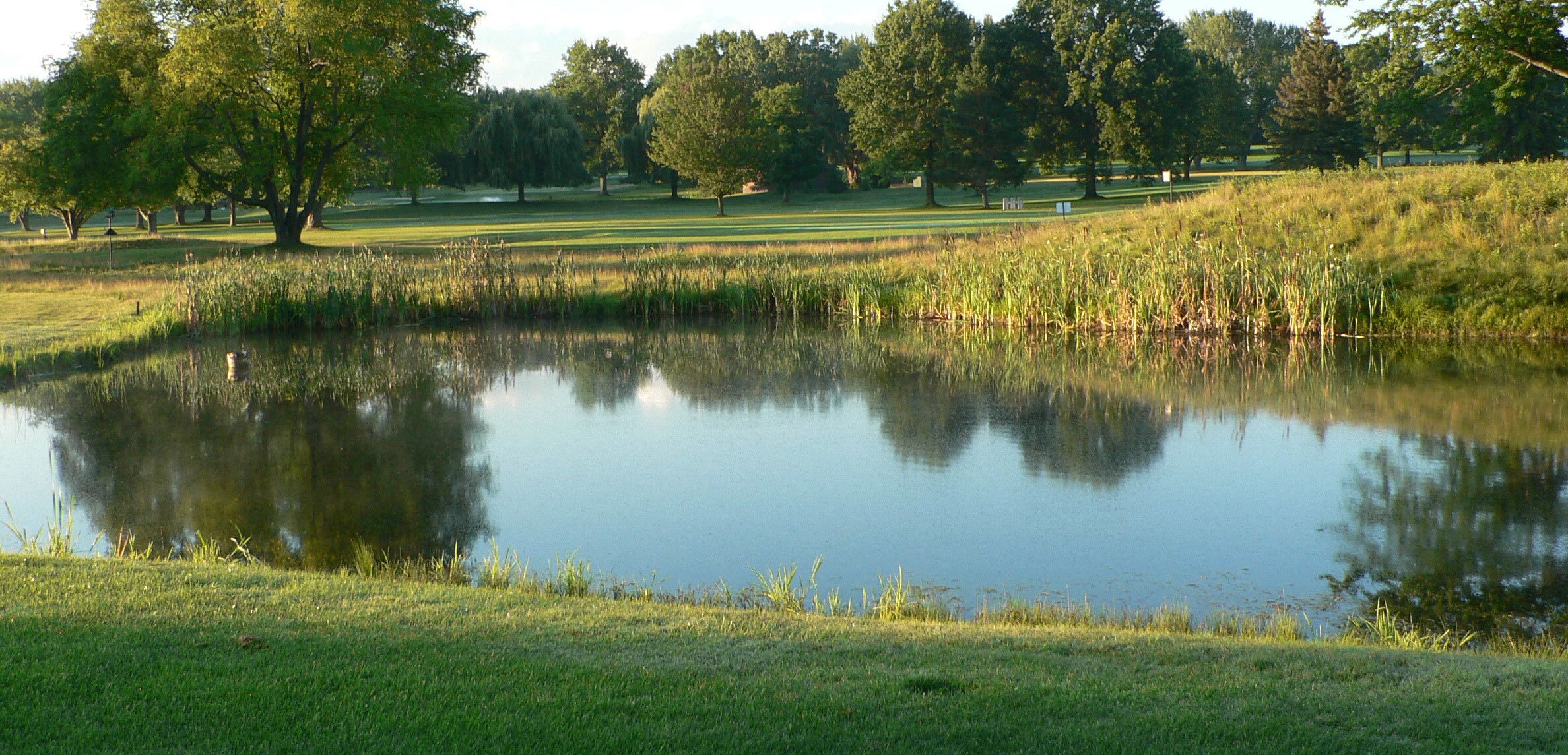 Pond on a golf course