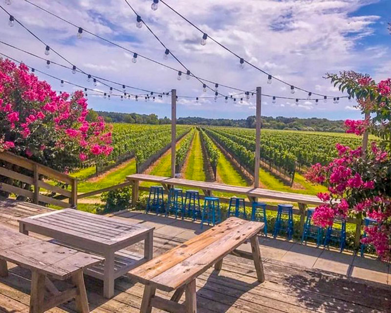 view of grape vines from exterior deck with tables and pink flowers