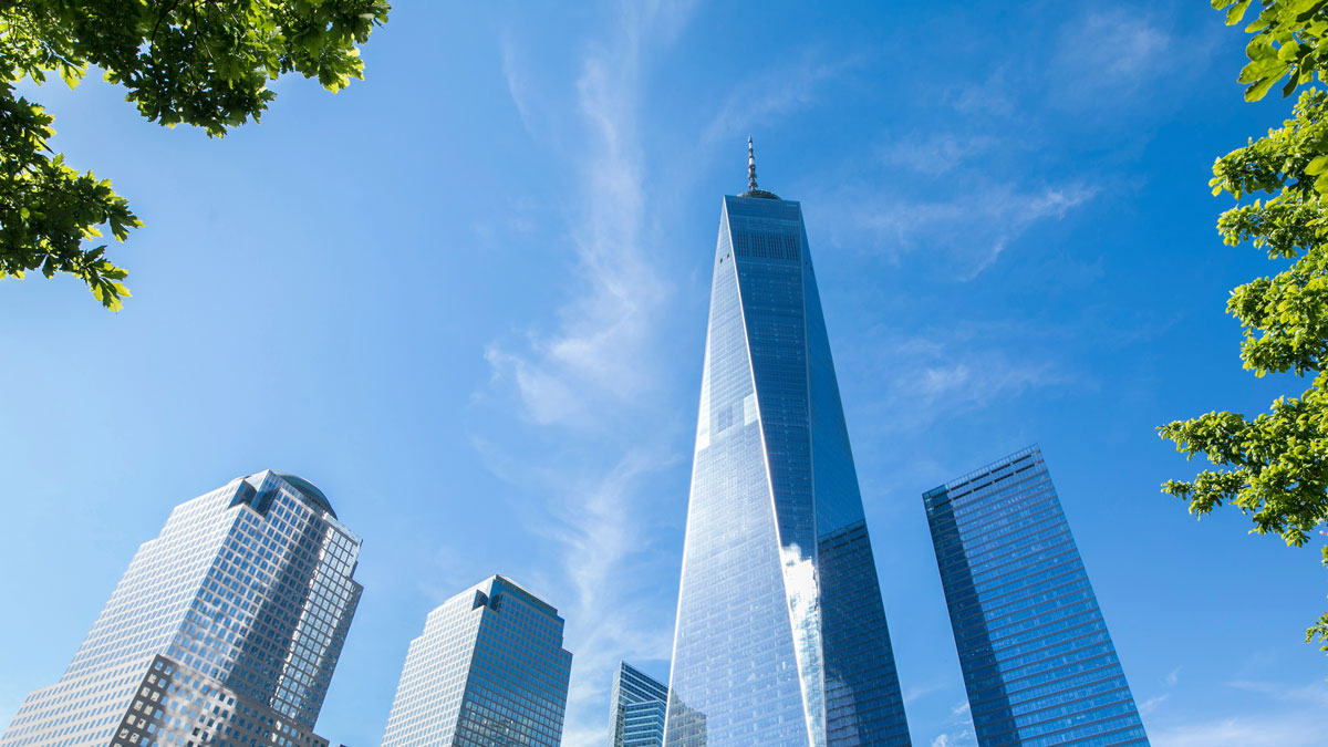 looking up at the World Trade Center in New York City through leaves on trees