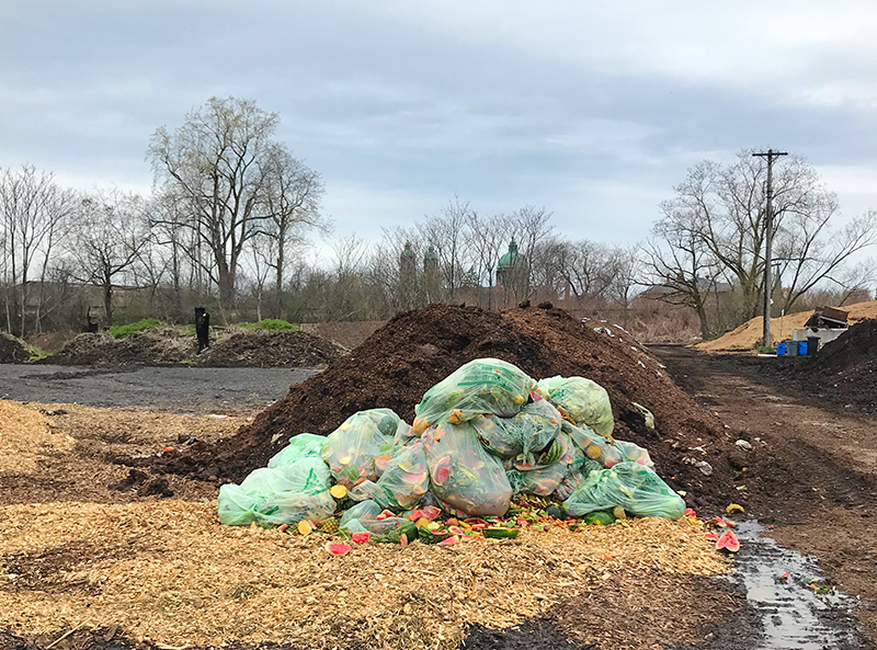 bags of food waste near a large compost pile