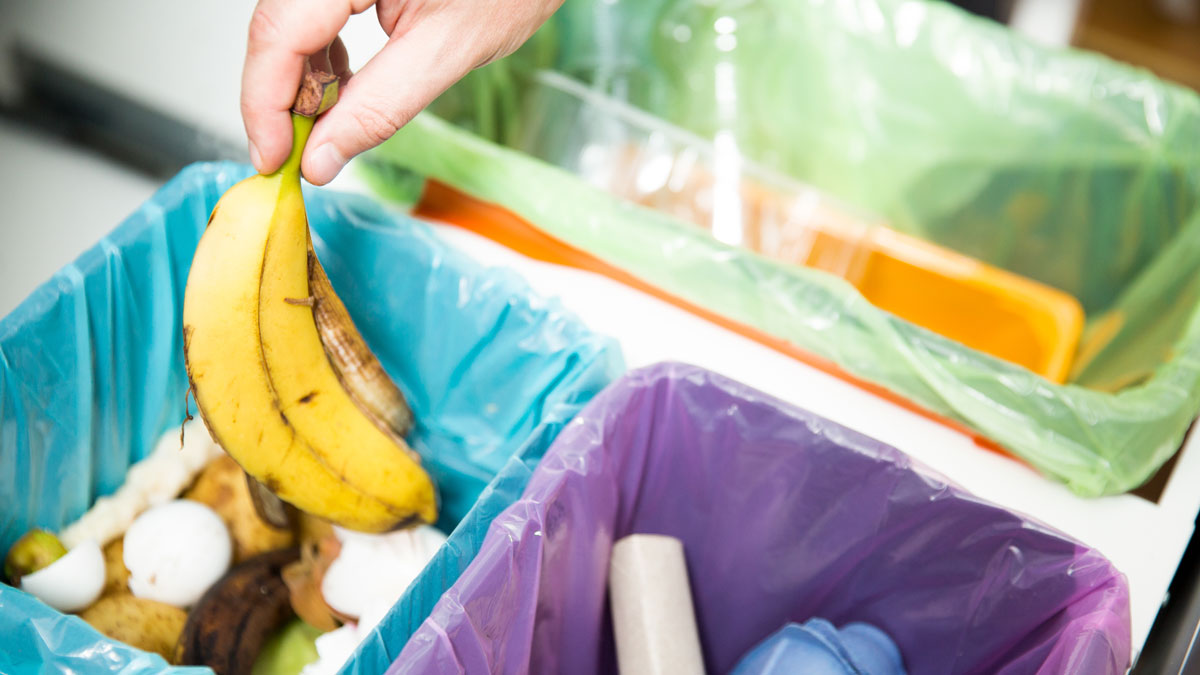 someone throwing away a banana peel in a blue bin with other food waste, near a purple and a green bin with other types of waste
