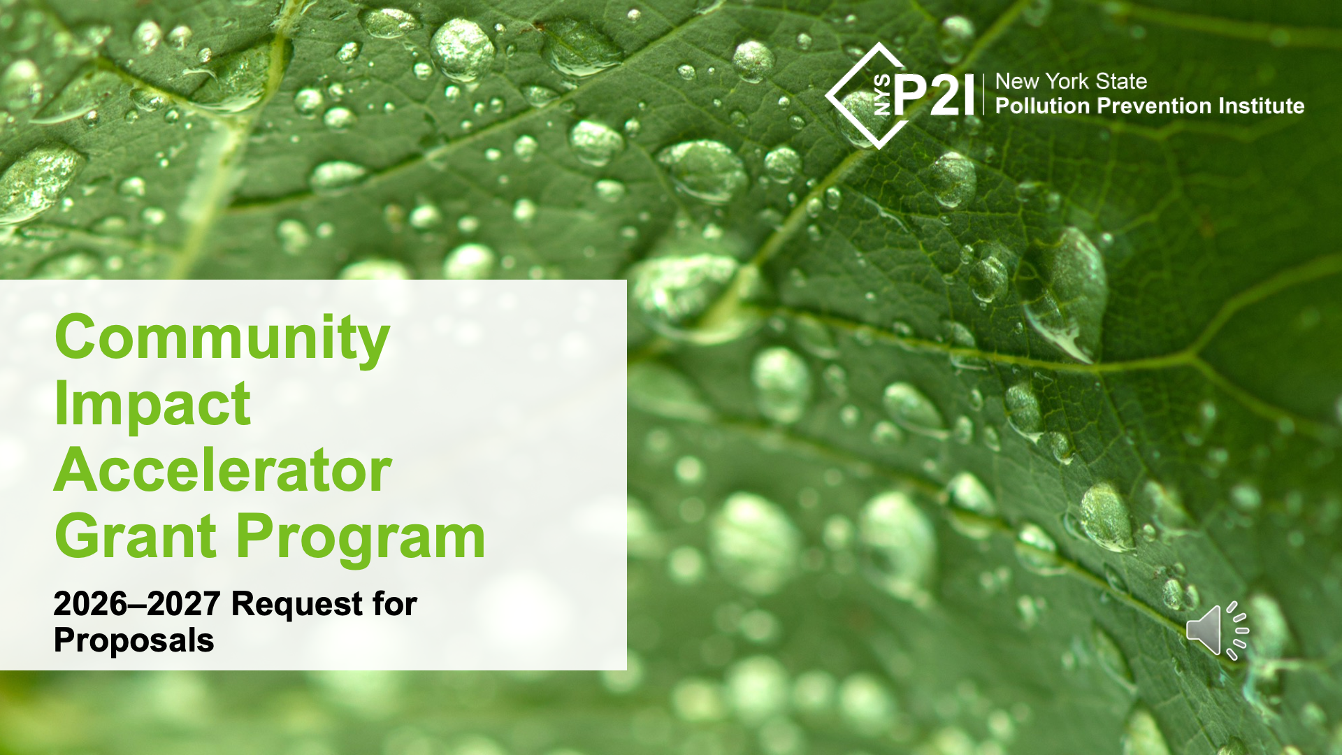 NYSP2I Community Impact Accelerator Grant Program Overview title on green leaf with water droplets