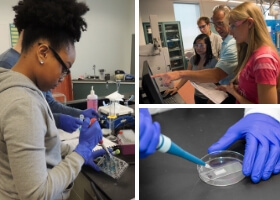 A collage showing students working in various labs.