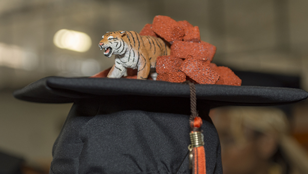 RIT Mascot RITCHIE stuffed toy, sitting on a graduation cap