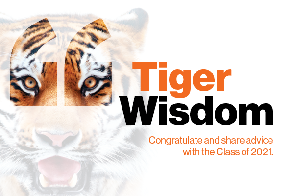 Tiger wisdom banner