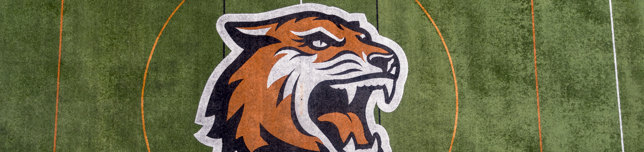 a tiger logo in the middle of a turf field