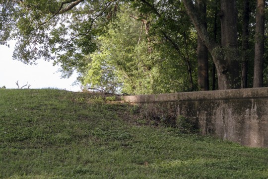 A grassy field and trees, divided by a worn levee.