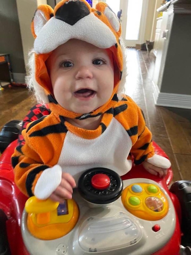 Future Tiger