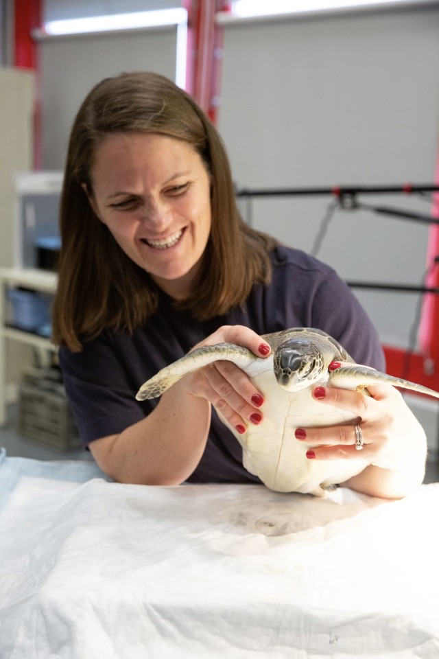 Kate Shaffer ’06 (COS), MS ’06 (COS) holds a sea turtle for a medical exam at the National Aquarium