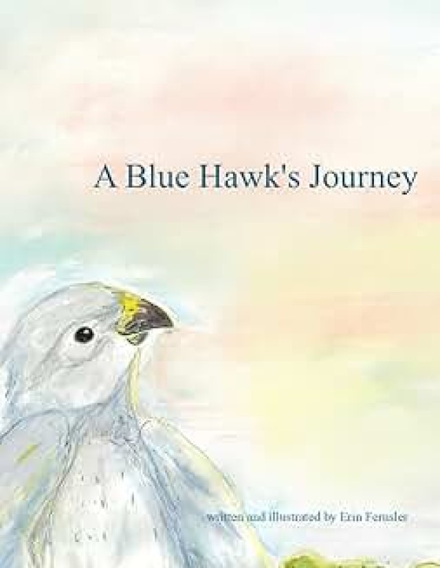 Erin (Hallett) Fernsler ’01 (CAST), MS ’03 (NTID) - Blue Hawk’s Journey book cover