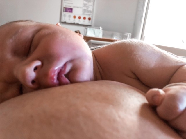 Rowan Scott Elman, December 7, 2020